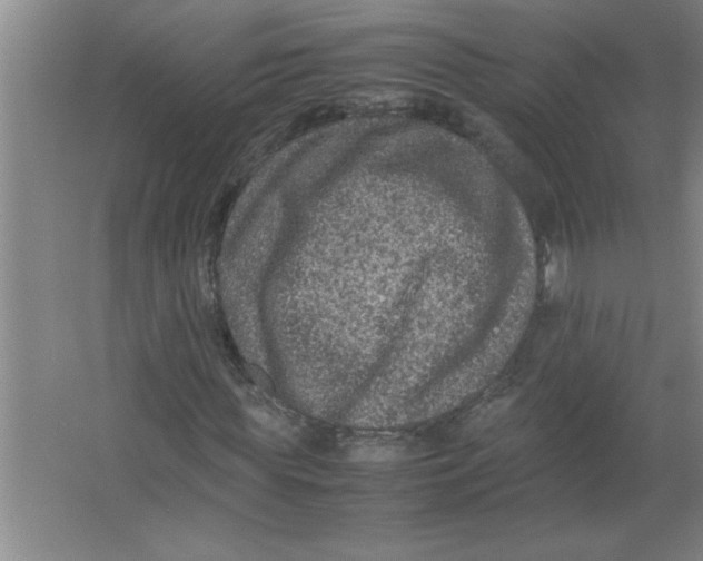 X0000067360819200604212025