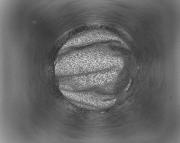 X0000067360821200604212025