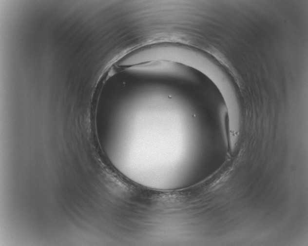 X0000067360834200604212025