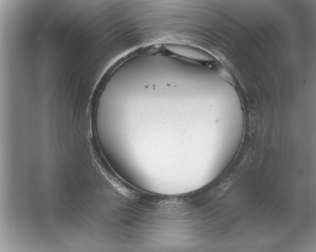 X0000067360838200604212025