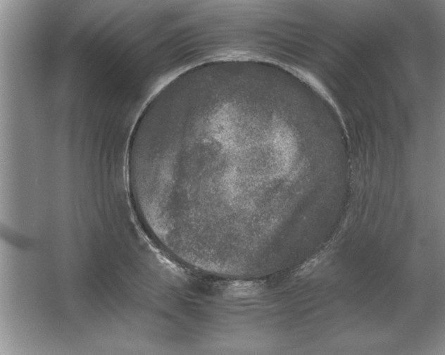 X0000067360839200604212025