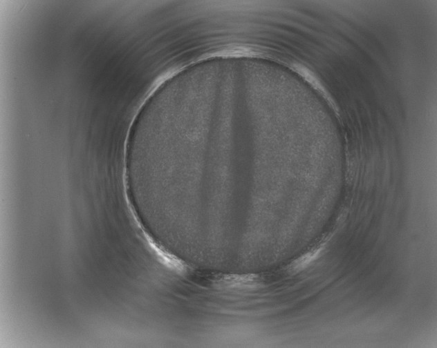 X0000067360845200604212026