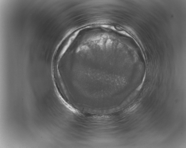 X0000067360851200604212026