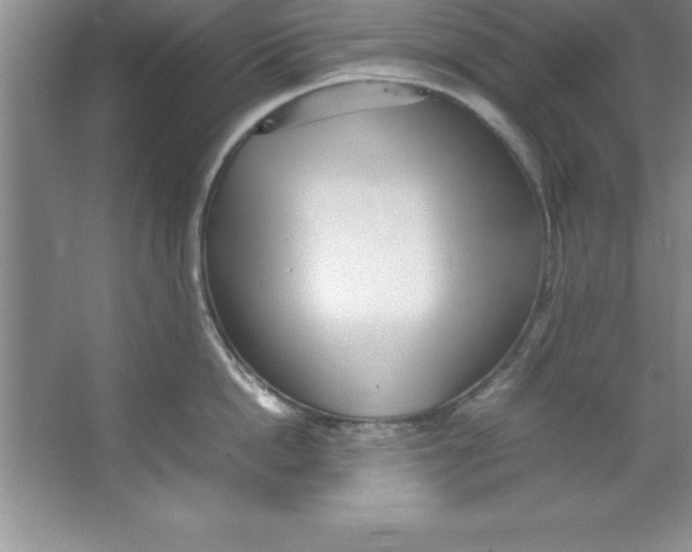 X0000067360862200604212026