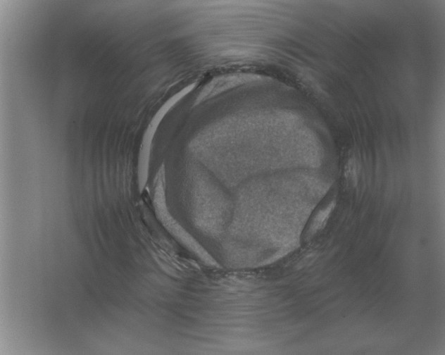 X0000067360868200604212025