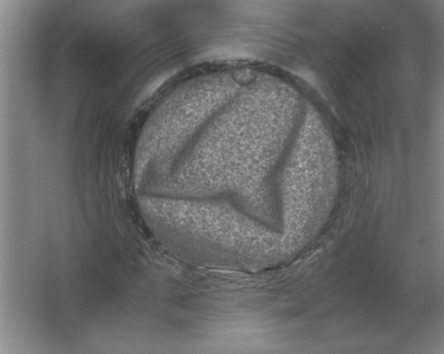 X0000067360871200604212025