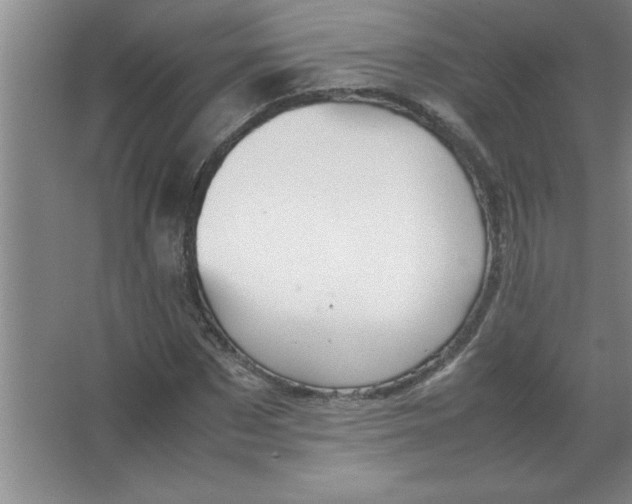 X0000067360873200604212025