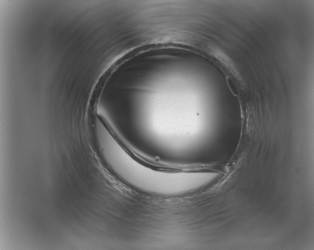 X0000067360876200604212025