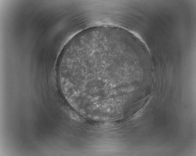 X0000067360879200604212025