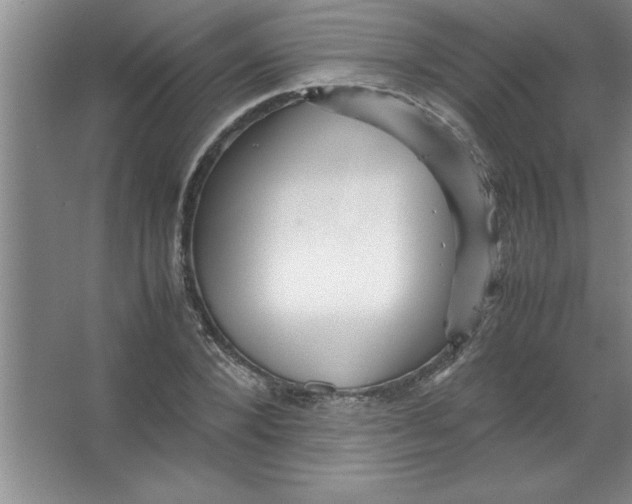 X0000067360880200604212025