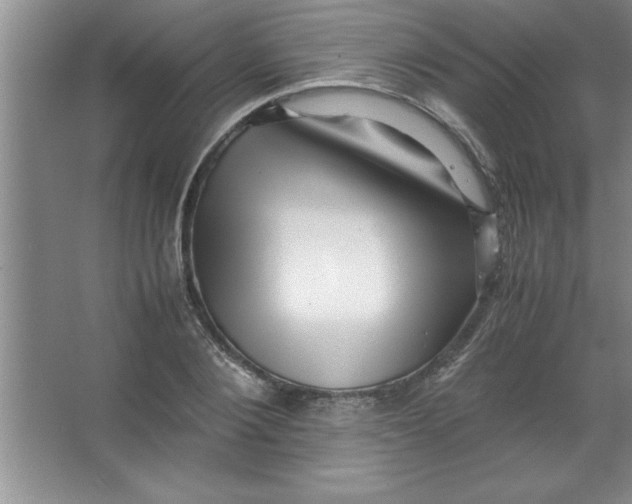 X0000067360884200604212025