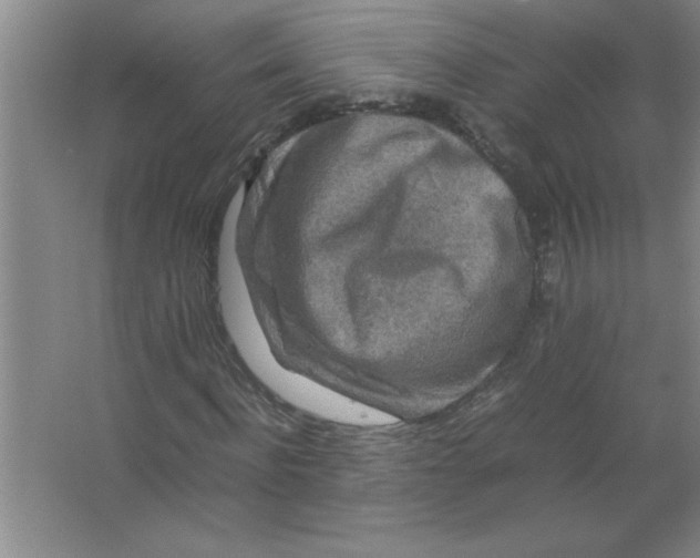 X0000067360916200604212023