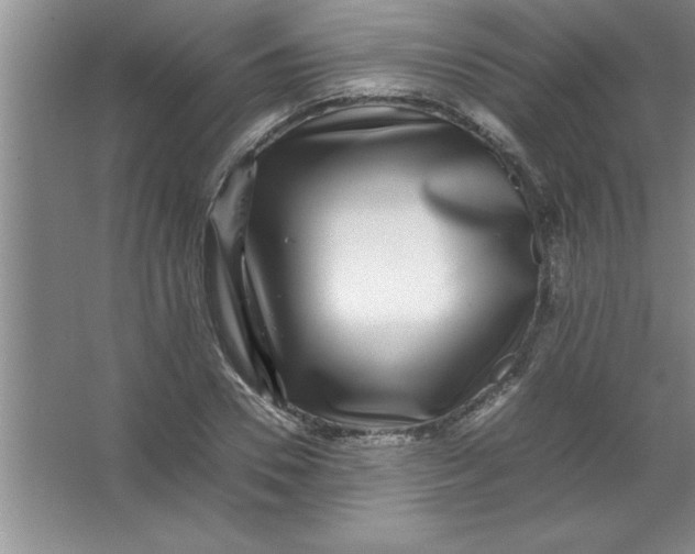 X0000067360930200604212024