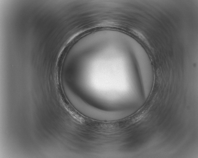 X0000067360931200604212024