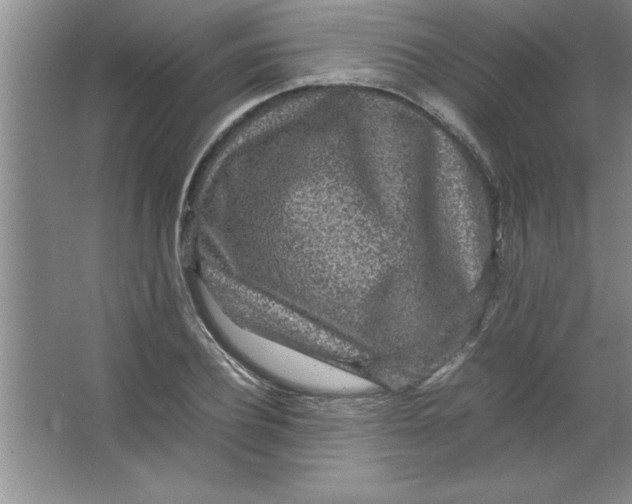 X0000067360932200604212024