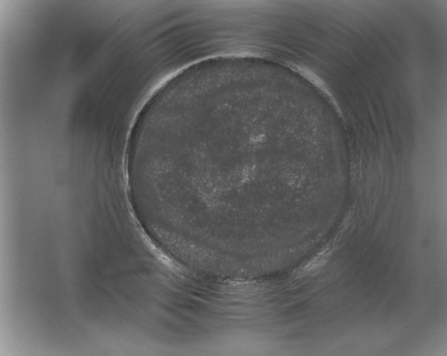 X0000067360935200604212024