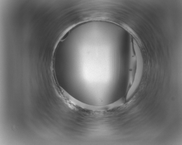 X0000067360956200604212024