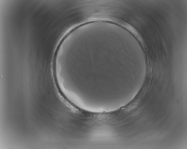 X0000067360958200604212024