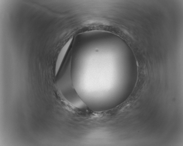 X0000067360965200604212023