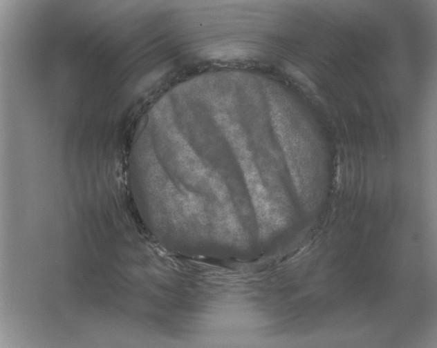 X0000067360966200604212023
