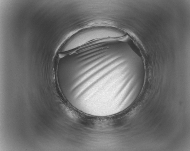 X0000067360973200604212023