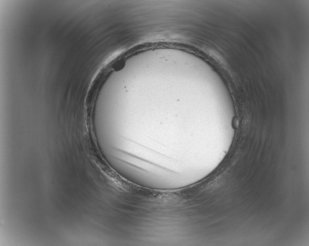 X0000067360974200604212023