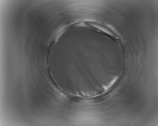 X0000067360977200604212023