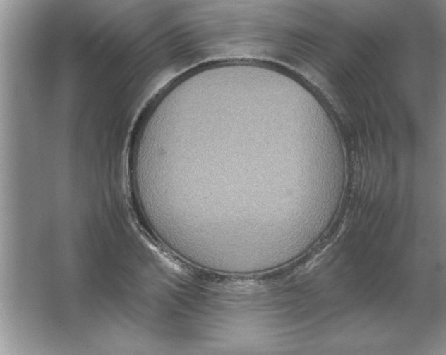 X0000067360982200604212023