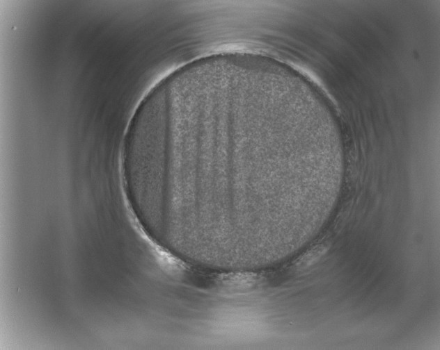 X0000067360991200604212023