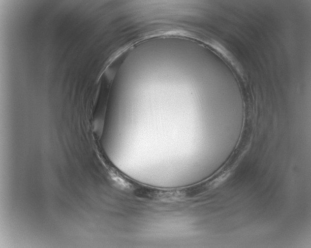 X0000067361001200604212023