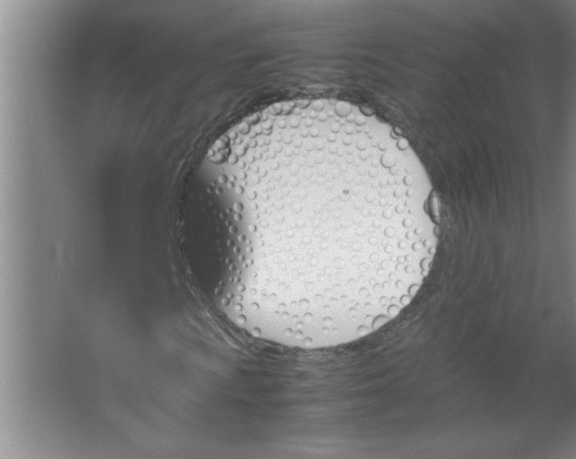 X0000067361009200604212022