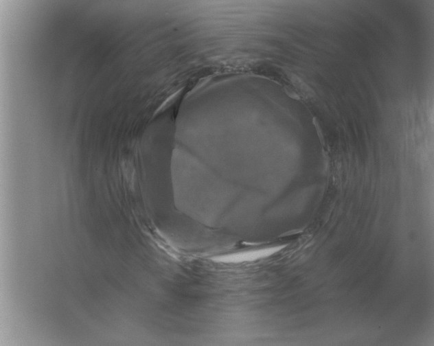 X0000067361010200604212022