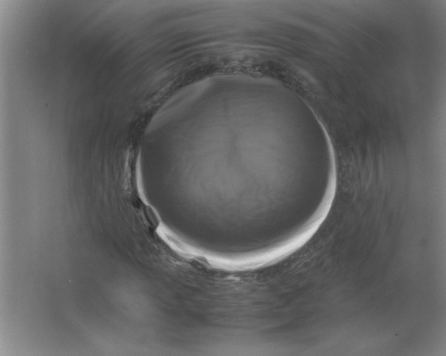 X0000067361013200604212022