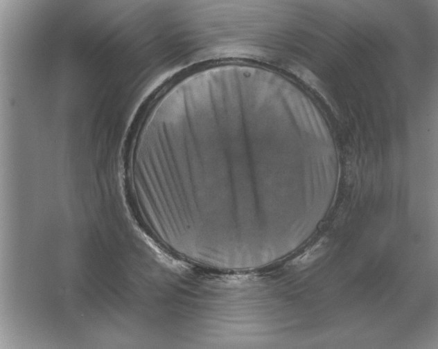 X0000067361024200604212022