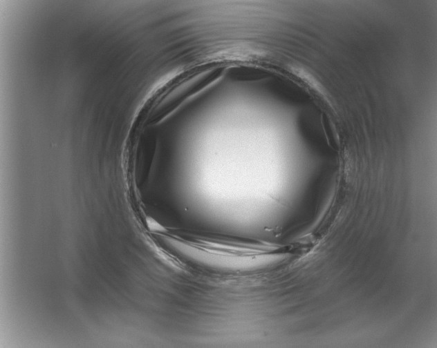 X0000067361026200604212022