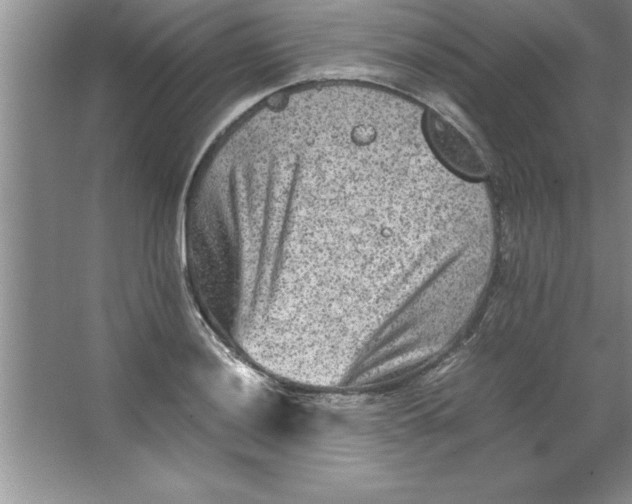 X0000067361036200604212022