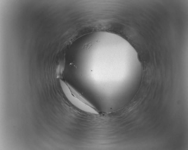 X0000067361058200604212022