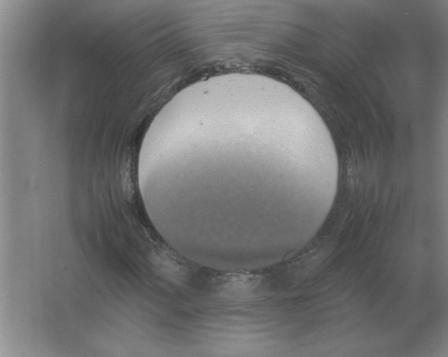 X0000067361060200604212022