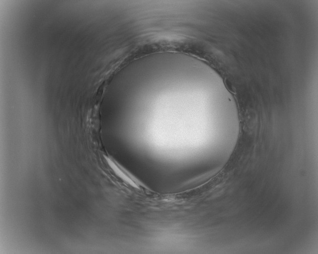 X0000067361061200604212022