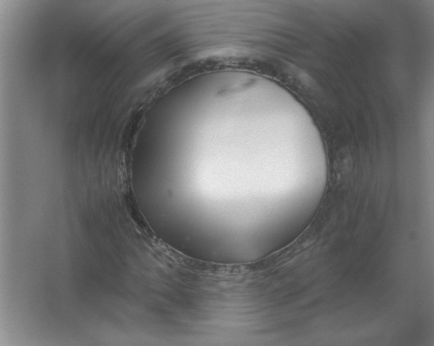 X0000067361062200604212022