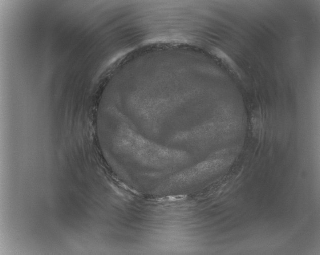 X0000067361064200604212022