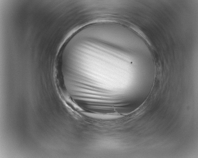 X0000067361101200604212021