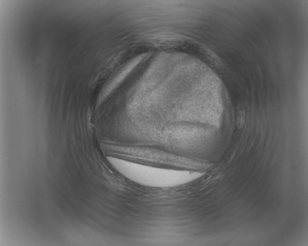 X0000067361108200604212020