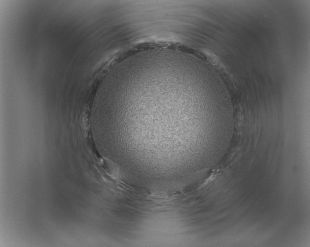 X0000067361110200604212020