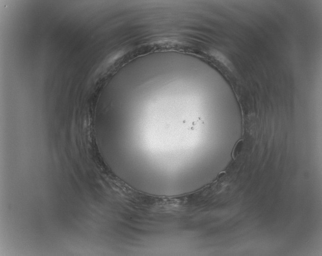 X0000067361111200604212020