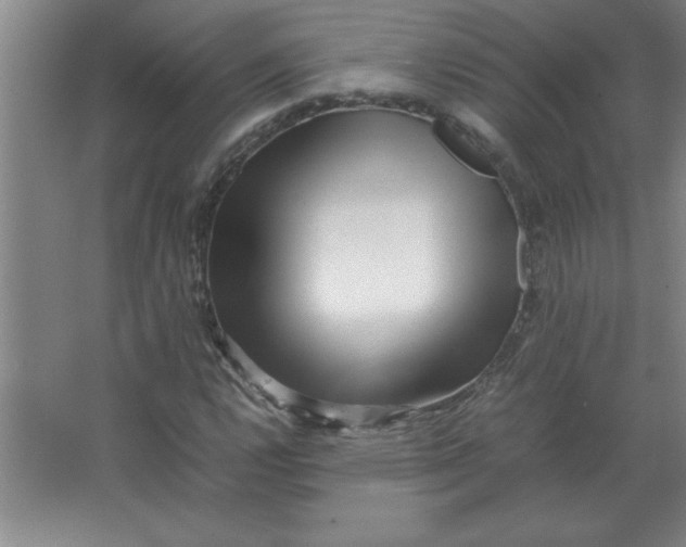 X0000067361112200604212020