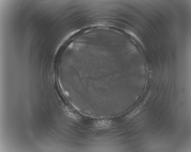 X0000067361117200604212020