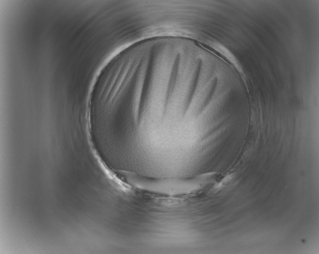 X0000067361144200604212021