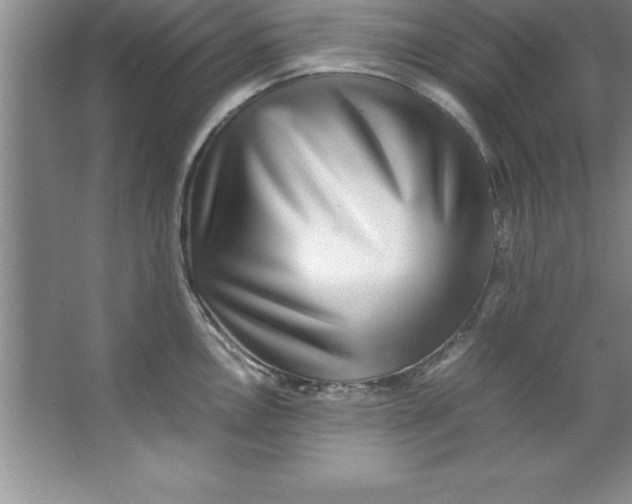 X0000067361146200604212021