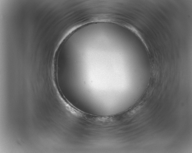 X0000067361147200604212021
